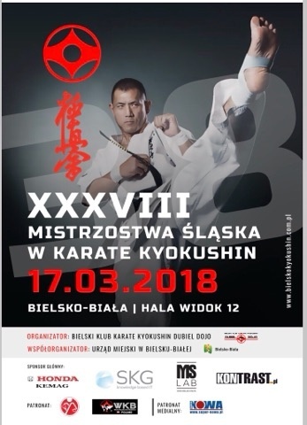 Mistrzostwa Makroregionu Śląskiego w Karate Kyokushin