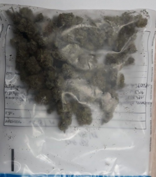 Policjanci przejęli 120 porcji marihuany