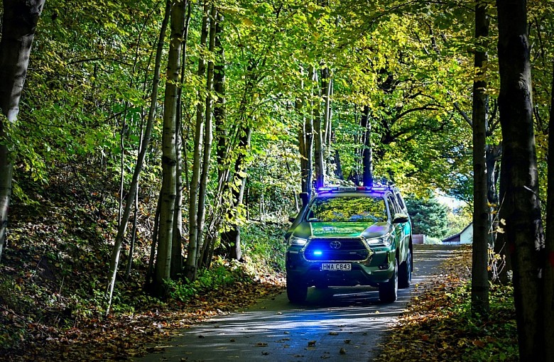 273 cudzoziemców pracowało nielegalnie