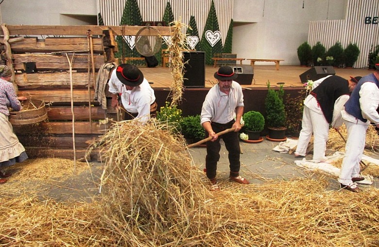 Młodzież, targi i żniwa