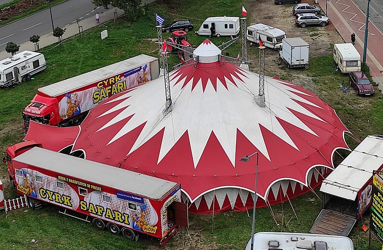 Cyrk Safari przyjedzie do Bielska-Białej. Międzynarodowe show bez udziału zwierząt