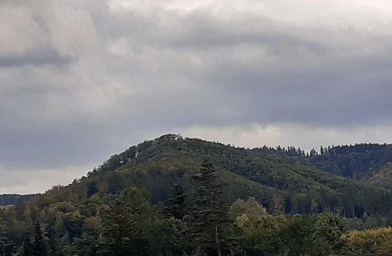 Beskidzki spacer archeologiczny w Jaworzu. Odkryj tajemnice wałów na Ostrym i Palenicy