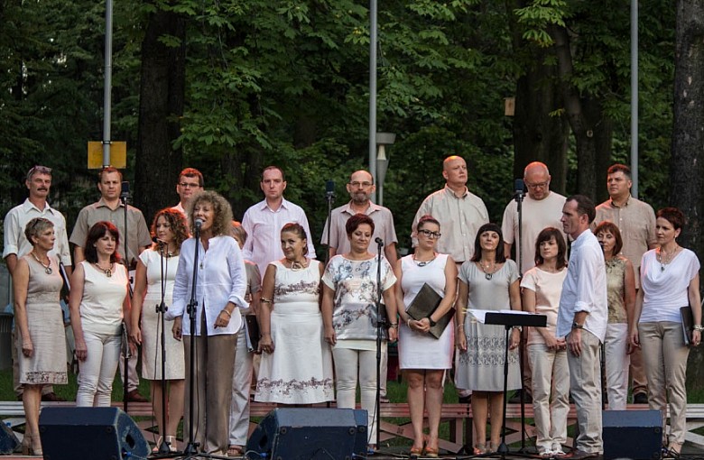 Koncert w parku