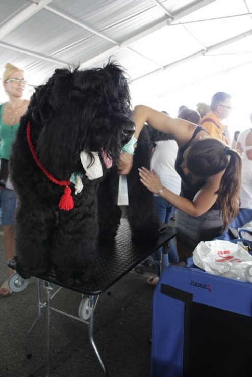 9bb97154788d7b6aaf68daa513139a