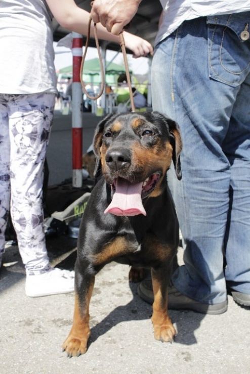 9bb97154788d7b6aaf68daa513139a