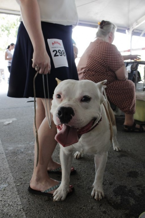 9bb97154788d7b6aaf68daa513139a