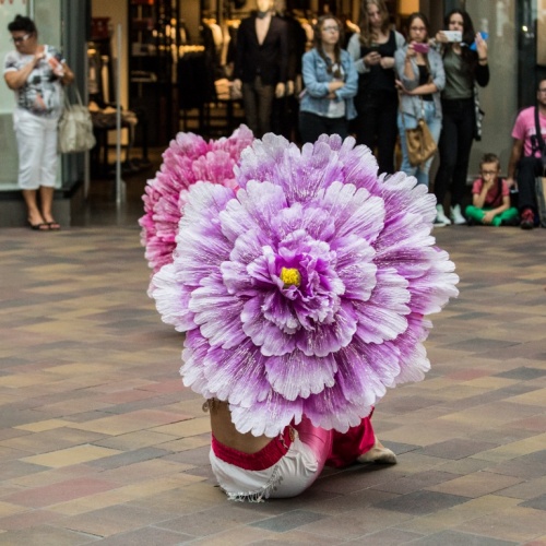 92edb6a79c43ecfd61428d66634036