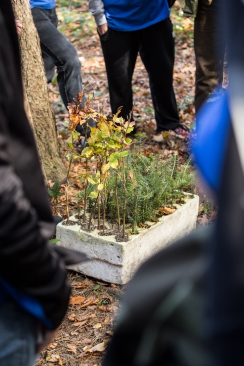 6651fff8c60d53230b161843c2353c