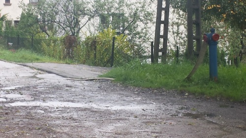 8217452730b5e614db1f7eb318c135