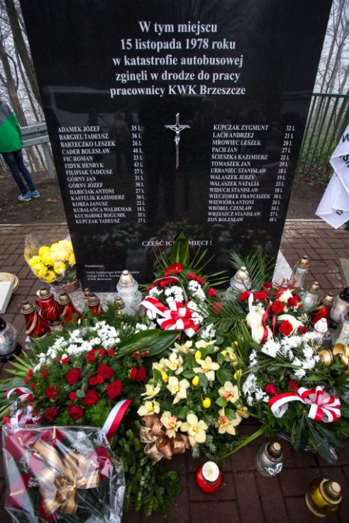 52b1f890c2a39548d3078bb58b44a3