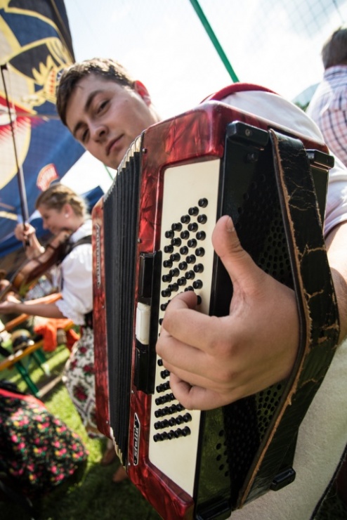 6e774dc7b8037a83330e0090fbc0c5