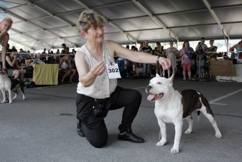 9bb97154788d7b6aaf68daa513139a