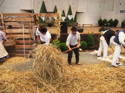 9fdf014ce2cf8eb8f228d6ef5c5557