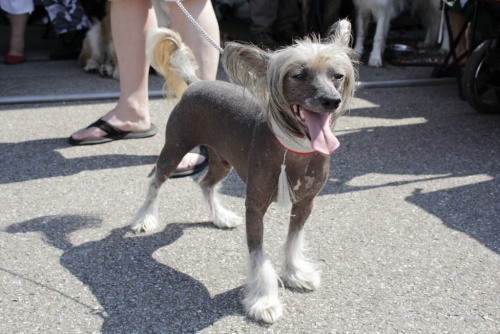 9bb97154788d7b6aaf68daa513139a