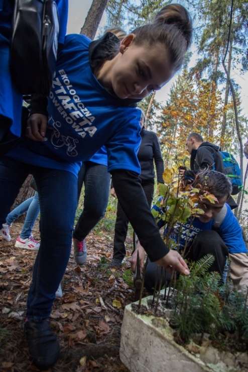 6651fff8c60d53230b161843c2353c