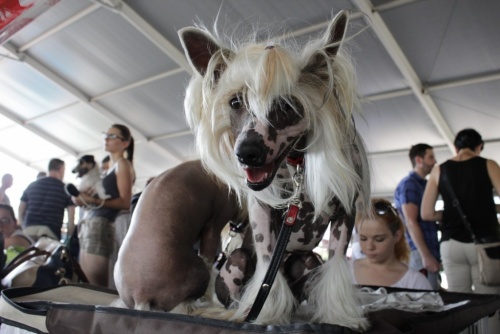 9bb97154788d7b6aaf68daa513139a