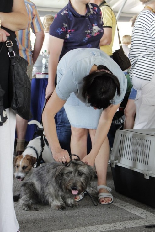 9bb97154788d7b6aaf68daa513139a