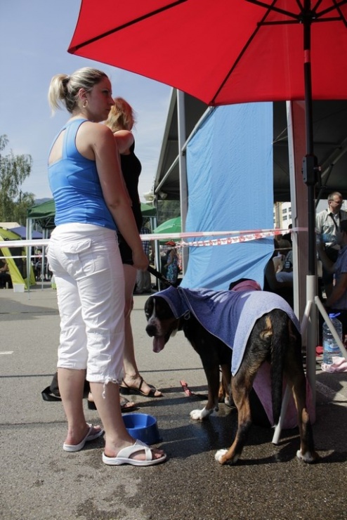 9bb97154788d7b6aaf68daa513139a