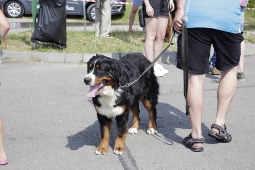 9bb97154788d7b6aaf68daa513139a