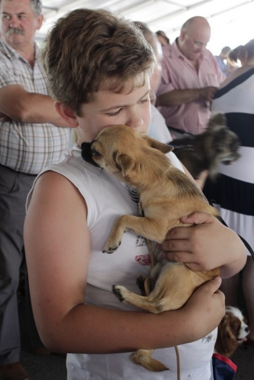 9bb97154788d7b6aaf68daa513139a