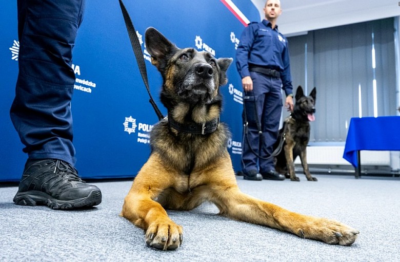 Małża zachwyciła na mistrzostwach Polski