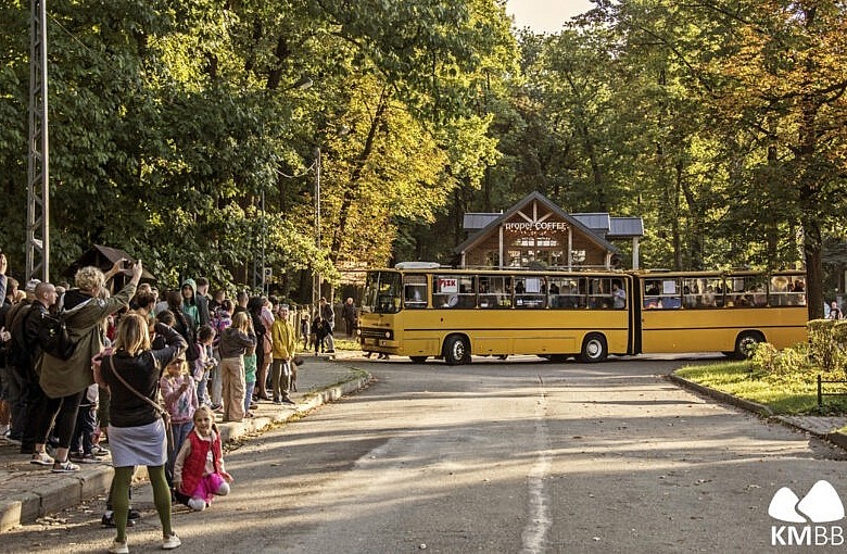 Ikarus 280 wraca do Bielska-Białej. Darmowe przejazdy już 23 i 24 maja 2026
