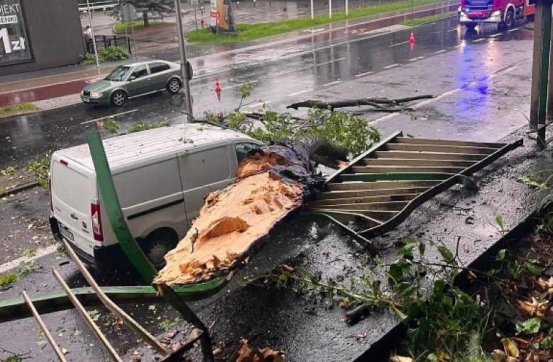 Powalone drzewa. Nawałnica nad Bielskiem-Białą