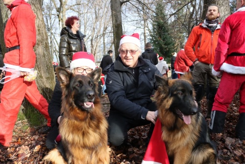 7b70e6b5d17572947060c92dc7fa2c