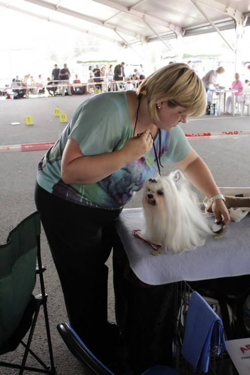 9bb97154788d7b6aaf68daa513139a