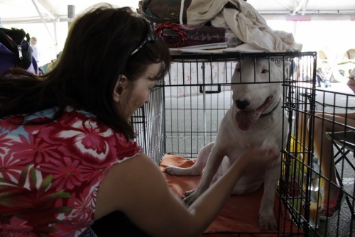 9bb97154788d7b6aaf68daa513139a