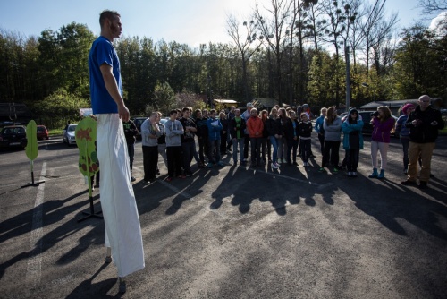 6651fff8c60d53230b161843c2353c