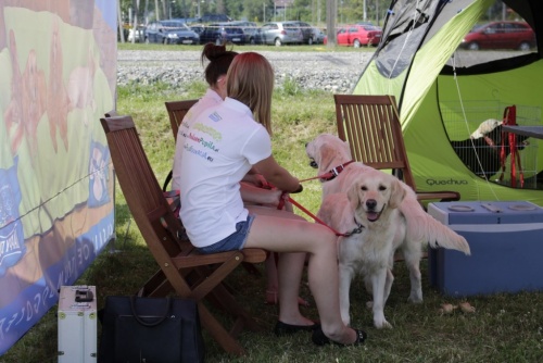 9bb97154788d7b6aaf68daa513139a