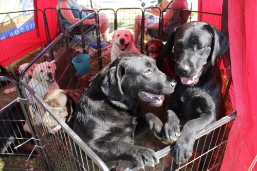 9bb97154788d7b6aaf68daa513139a