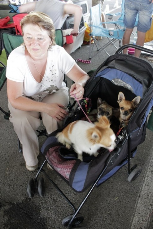 9bb97154788d7b6aaf68daa513139a