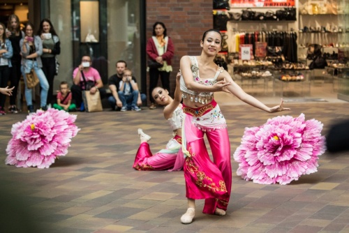 92edb6a79c43ecfd61428d66634036