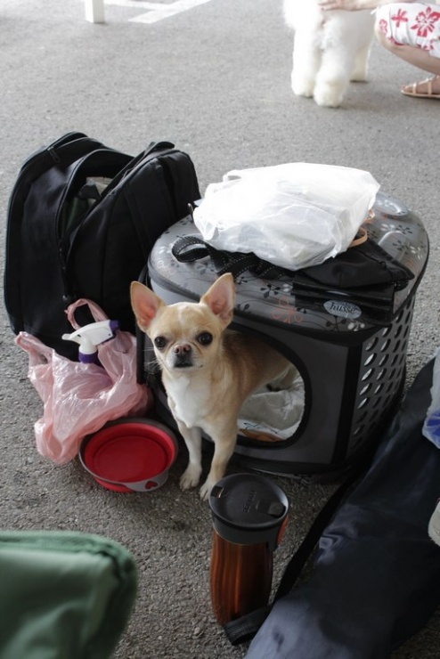 9bb97154788d7b6aaf68daa513139a