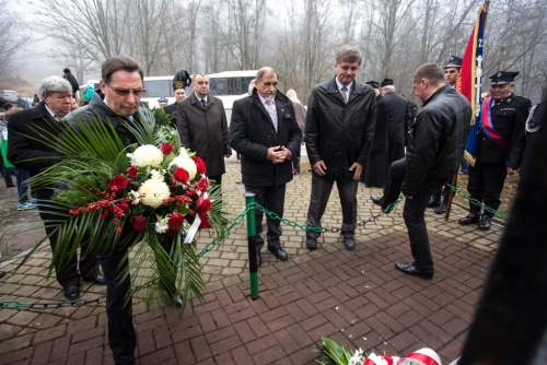 52b1f890c2a39548d3078bb58b44a3