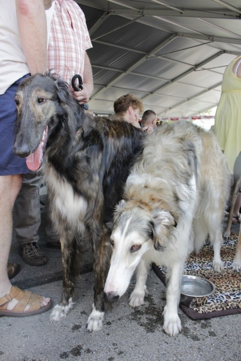 9bb97154788d7b6aaf68daa513139a