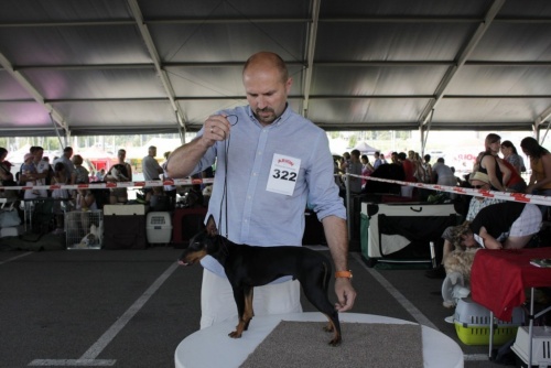 9bb97154788d7b6aaf68daa513139a