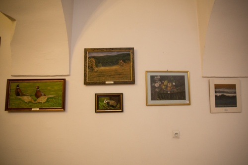 c91c2d3955584cbb9c0d62526dc058