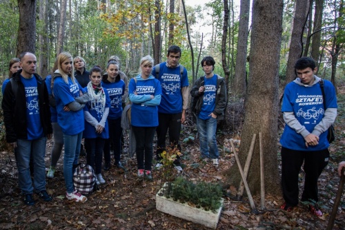 6651fff8c60d53230b161843c2353c