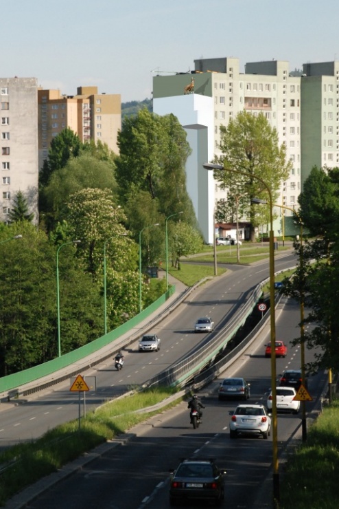 Tatrzańska kozica