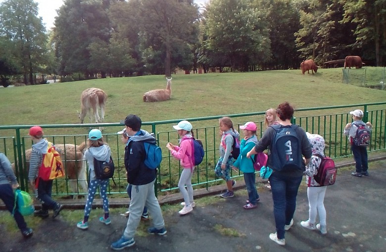 Akcja Lato 2016 za nami