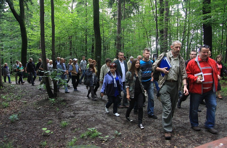 Cygański Las jak zagraniczne kurorty