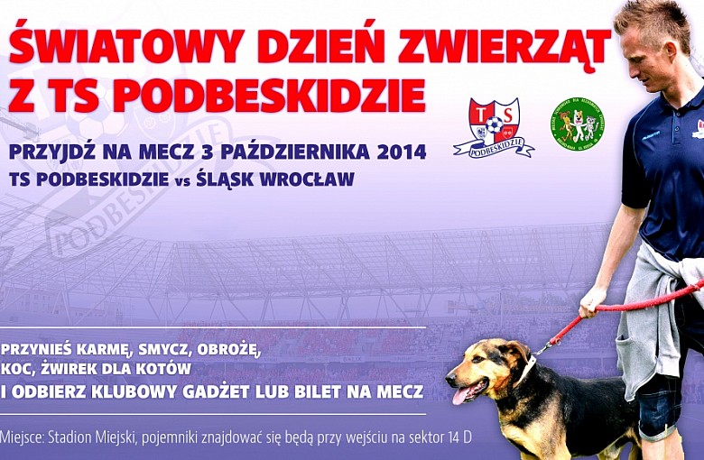 Wsparcie dla schroniska