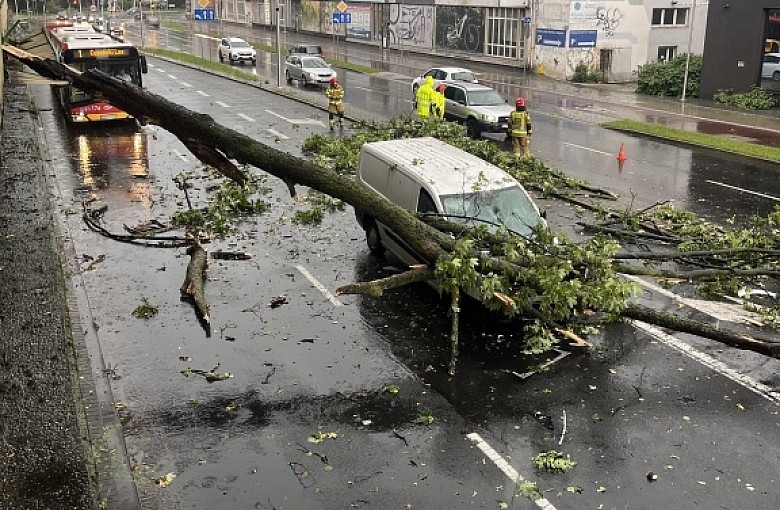 Cudem uszedł z życiem. "Bubas" potrzebuje pomocy