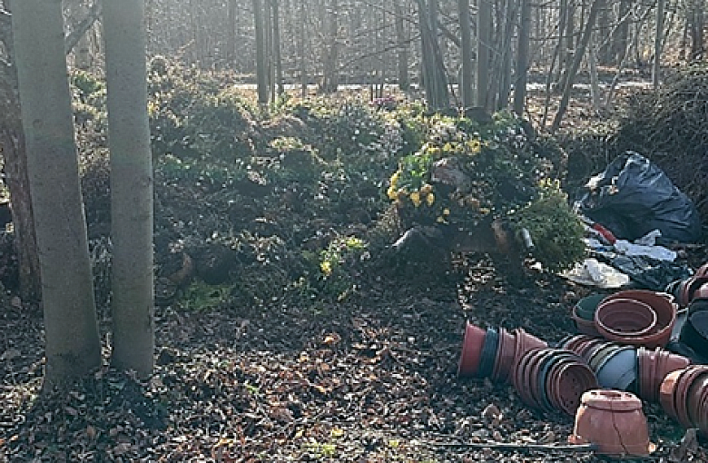 Myślał, że nikt nie zobaczy. Strażnicy złapali go na gorącym uczynku