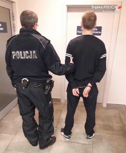 Zarzuty za znieważenie policjantów