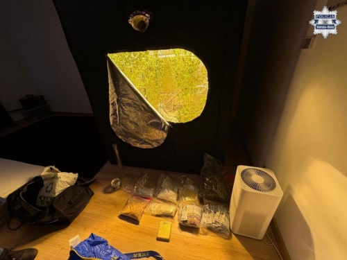 Skuteczna akcja nowego wydziału: plantacja marihuany zlikwidowana w Bielsku-Białej