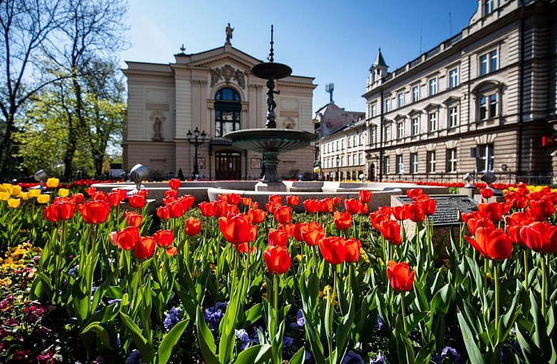 Bielsko-Biała: Ponad 30 tysięcy kwiatów